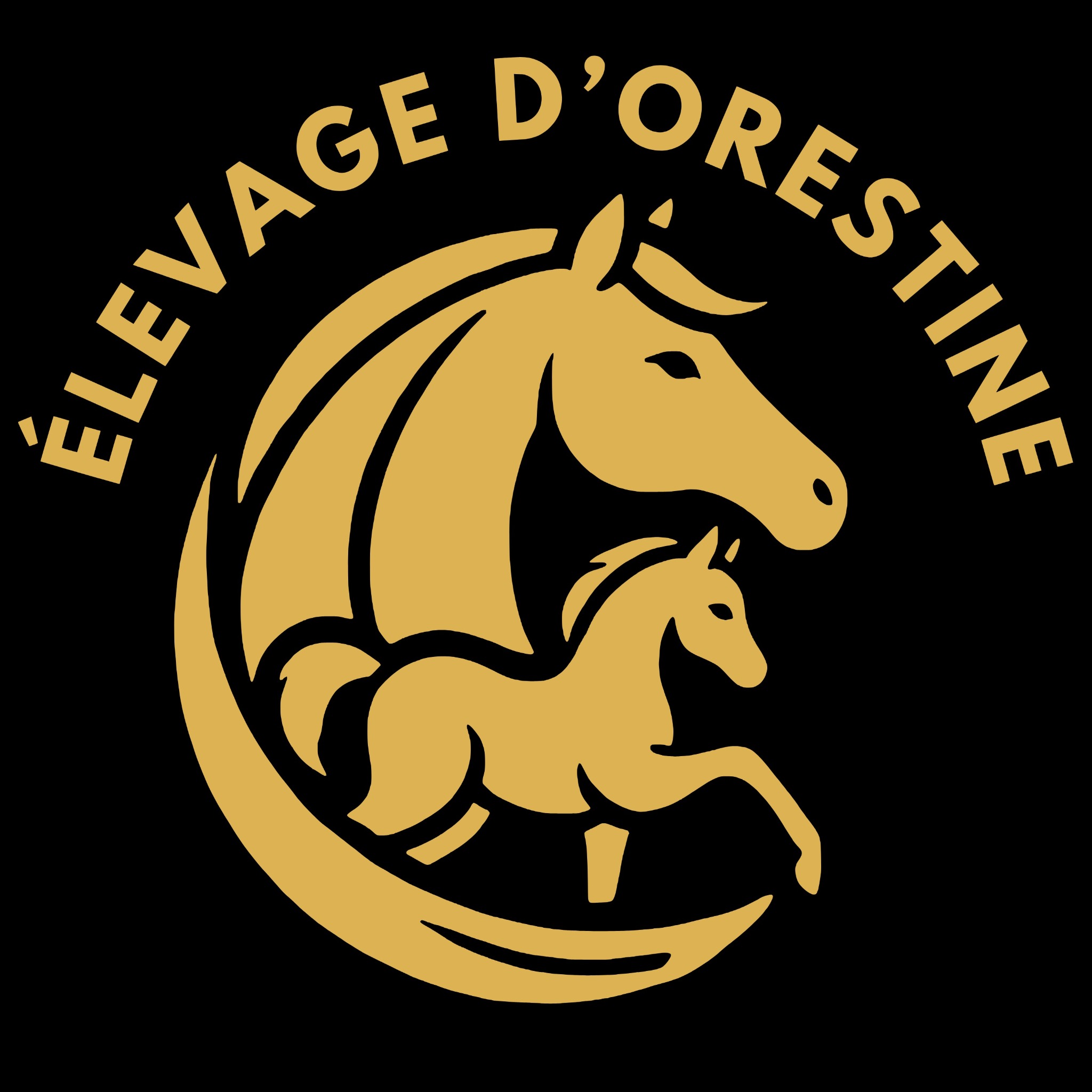 Élevage d’Orestine